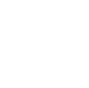 Logo DGAC