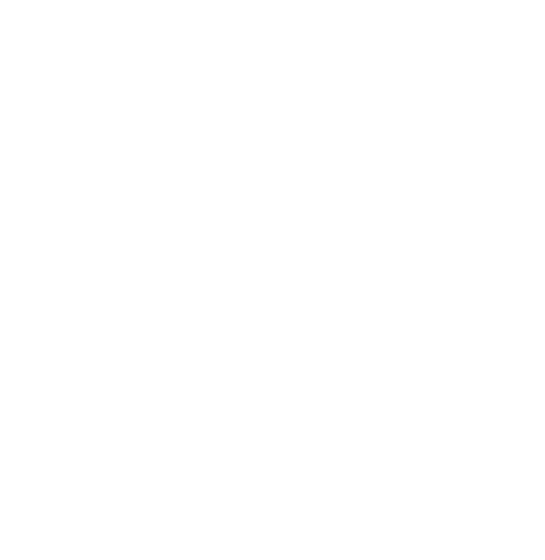 Logo DGAC